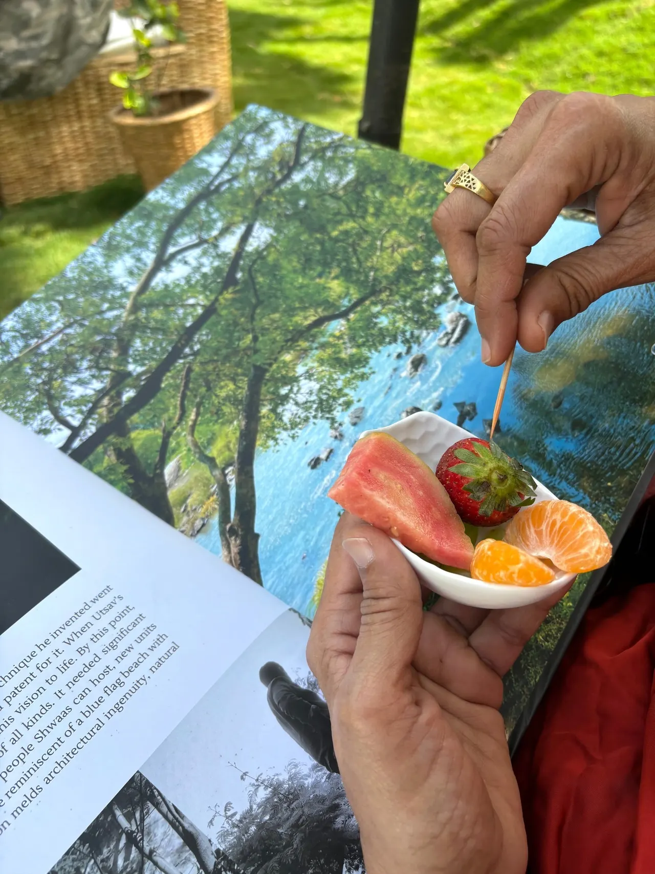 A bowl of fresh fruit and an open book on a slow morning