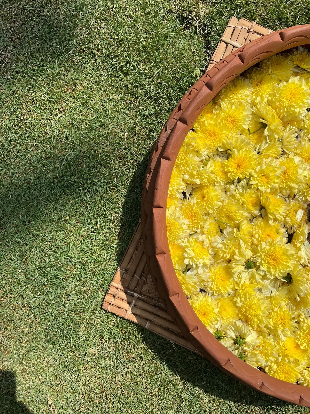 A basket of yellow marigolds on the grass