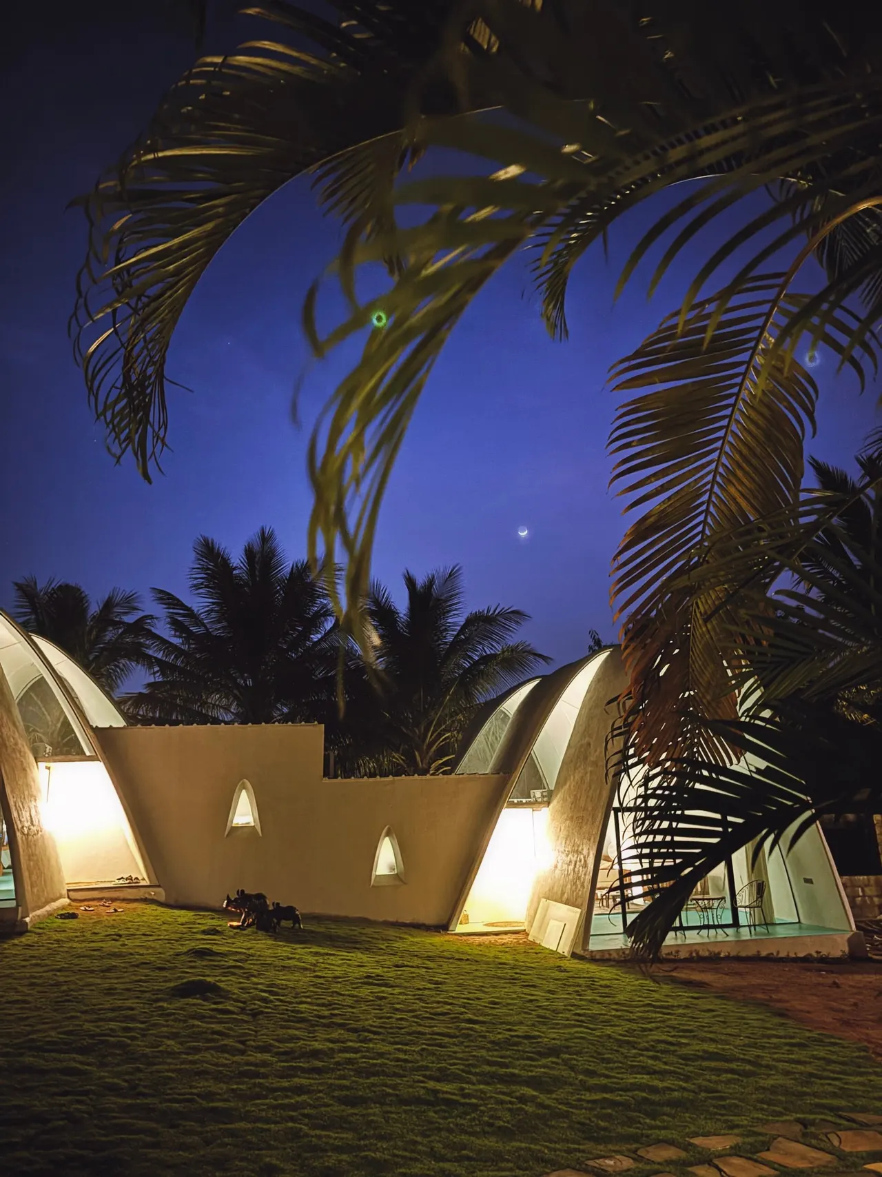 The shells of Shwaas lit from within under a crescent moon, framed by coconut palms
