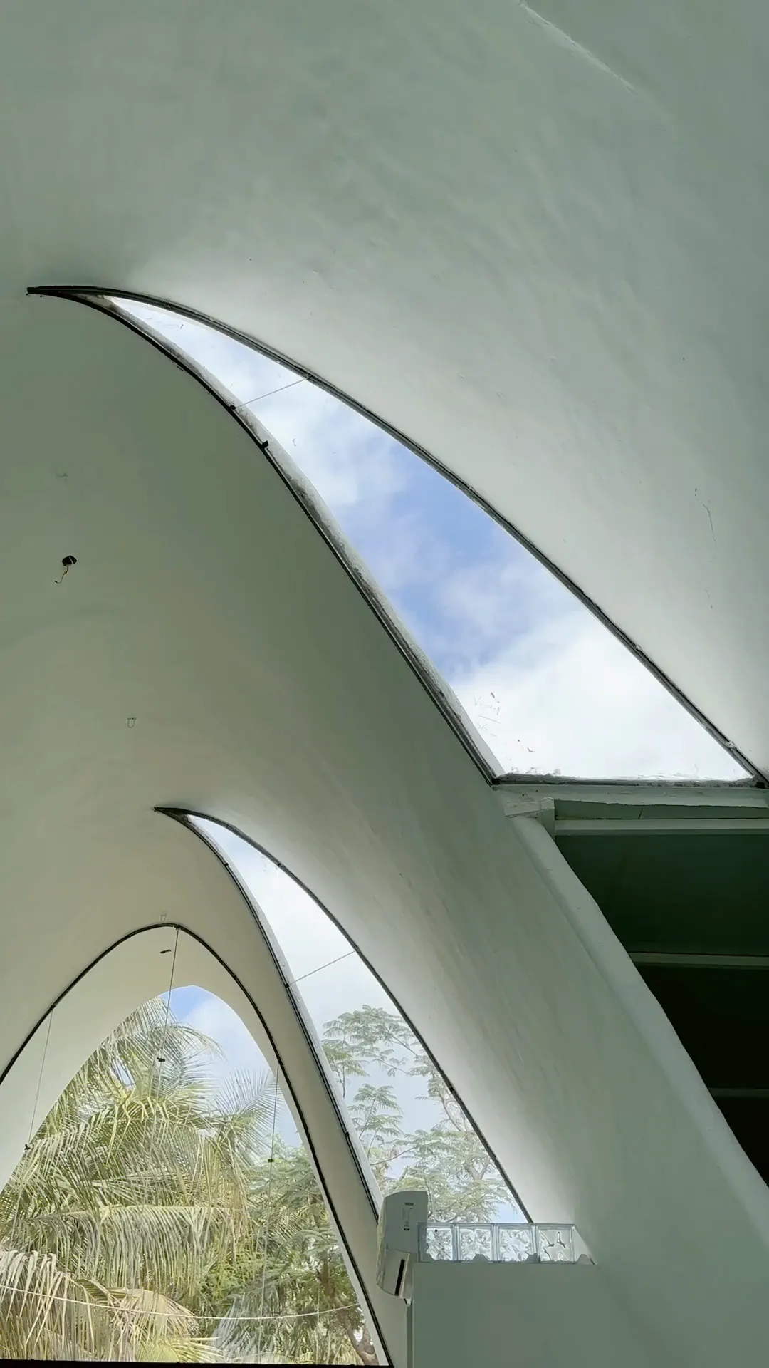 Curved skylights cut into a concrete shell, open to the palms